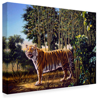 "Hidden Tiger     " by D. Rusty Rust, Canvas Art