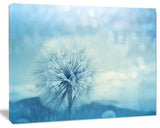 Close Up White Dandelion with Filter, Large Flower Canvas Wall Art, 60"x28"