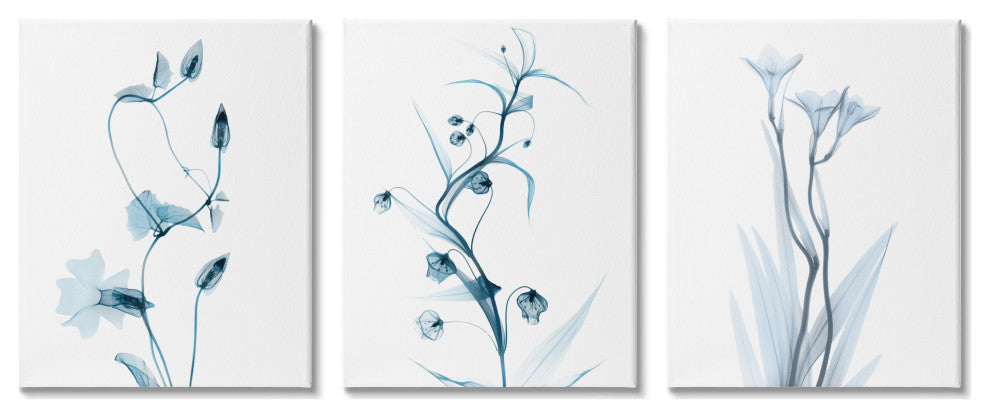 Aesthetic Minimalist Blue Botanical Floral Design, 3pc, each 11 x 14