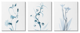 Aesthetic Minimalist Blue Botanical Floral Design, 3pc, each 11 x 14