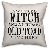 A Wicked Witch And Grumpy Toad 20"x20" Throw Pillow