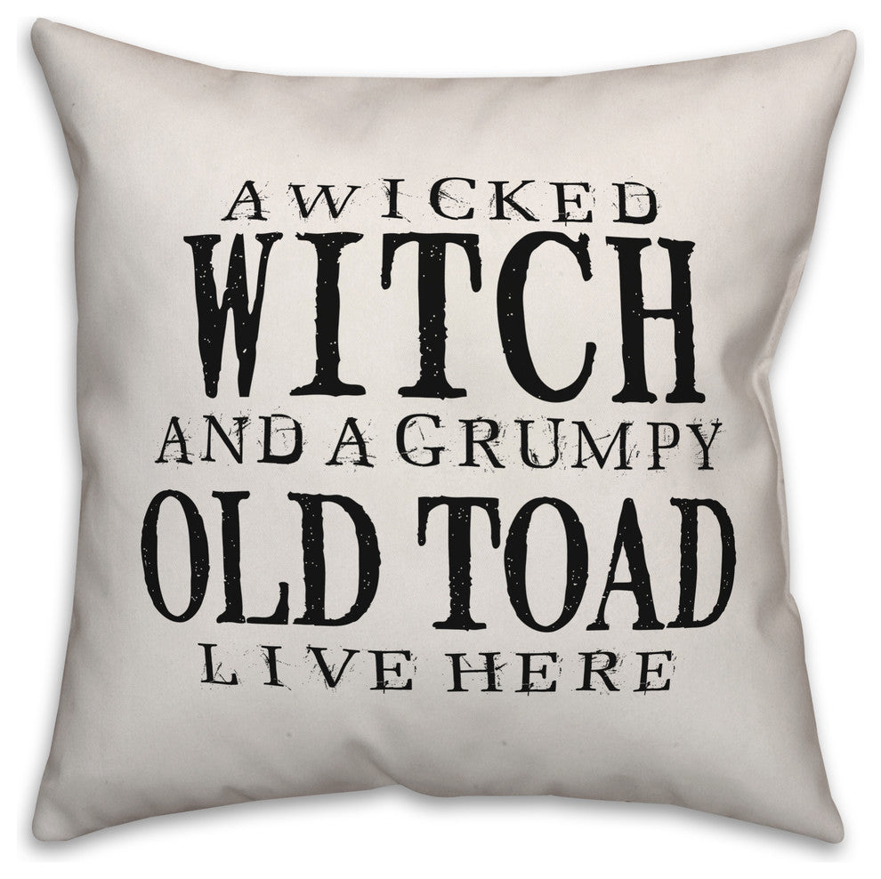 A Wicked Witch And Grumpy Toad 20"x20" Throw Pillow