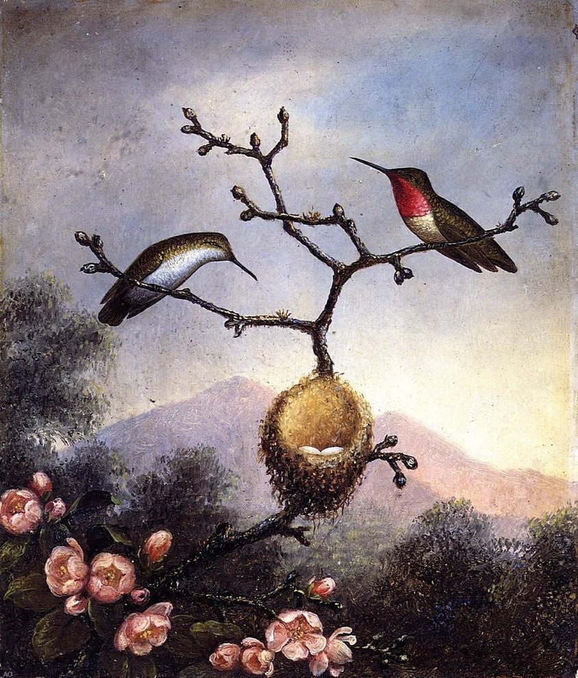 Martin Johnson Heade Ruby Throats with Apple Blossoms Gallery Wrapped Canvas