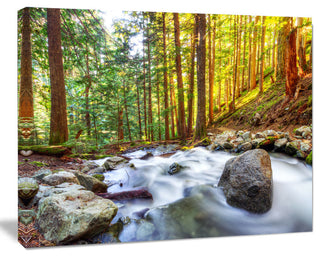 Creek Flowing Through Forest, Landscape Canvas Art Print, 40"x30"