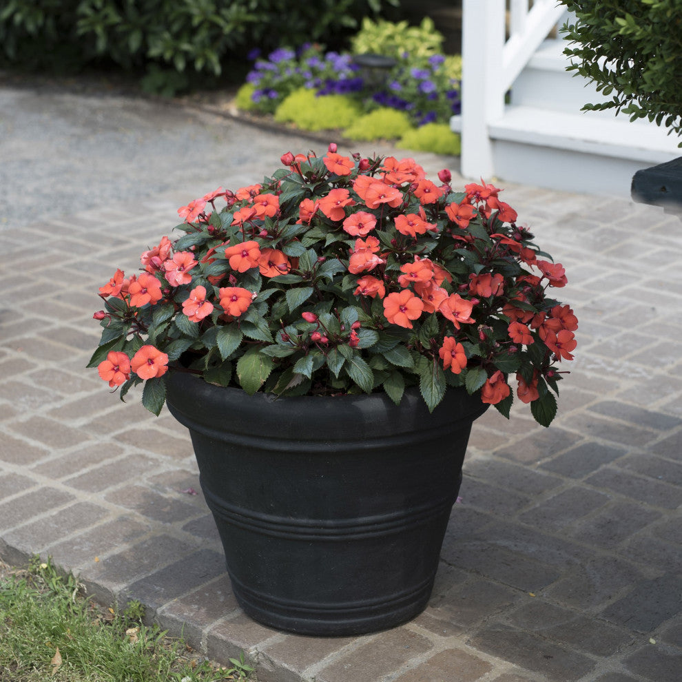 Brunello Planter, Black, 12"