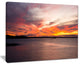 "Yellow Sky Over Calm Sydney Coast" Seashore Canvas Print, 40"x30"