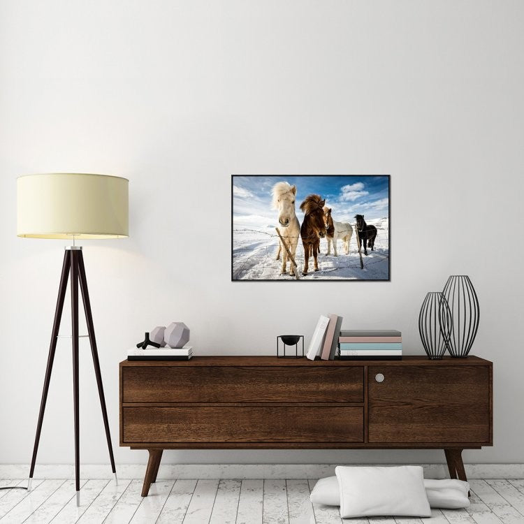 "Icelandic Hair Style" Framed Canvas Giclee by Mike Leske, 37x25"