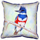 Kingfisher Large Indoor/Outdoor Pillow 18x18