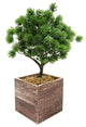 Artificial Desktop Pine Bonsai Tree, Square Wood Pot 10.5"