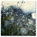 'In Silence' Canvas Art by Beata Czyzowska Young