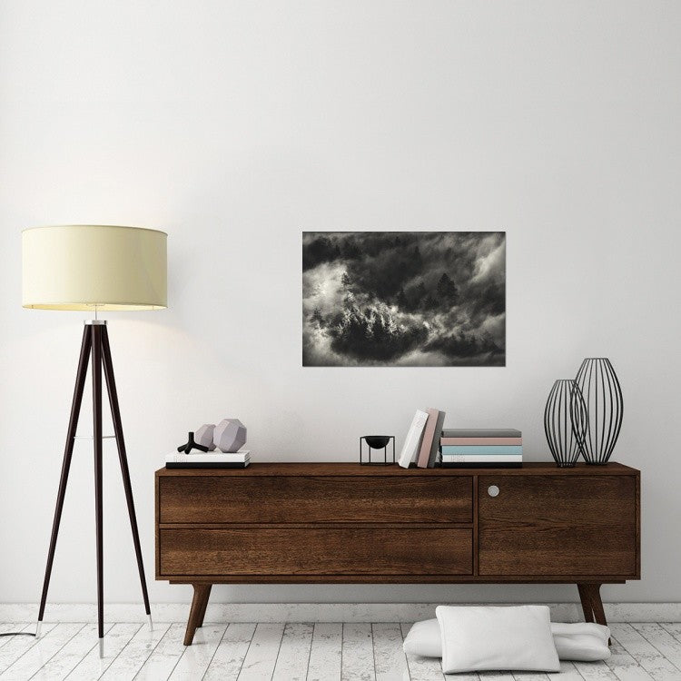 "Trees in Mist" Stretched Canvas Giclee by Samir Pajic, 36x24"