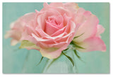 Cora Niele 'Pink Roses' Canvas Art