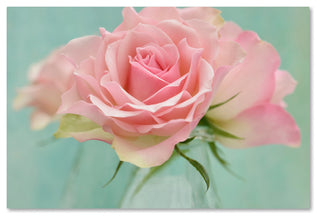 Cora Niele 'Pink Roses' Canvas Art