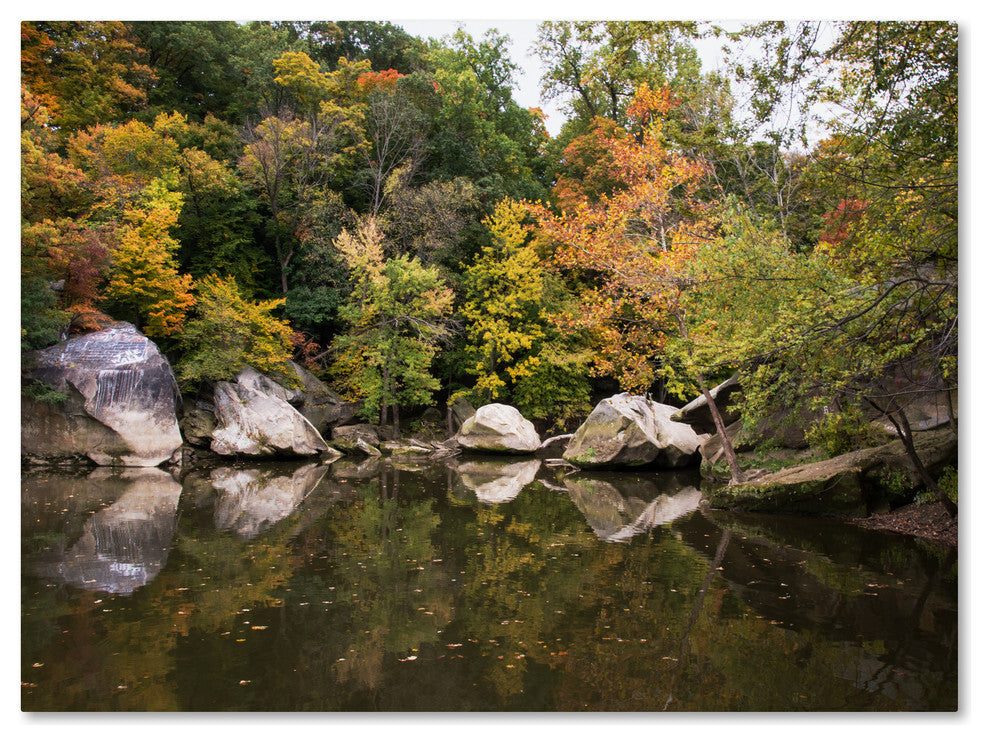 'Graffiti Fall' Canvas Art by Kurt Shaffer