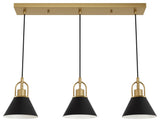 Carrington Isle Luxe Gold and Flat Matte Black 3 Light Pendant Cluster