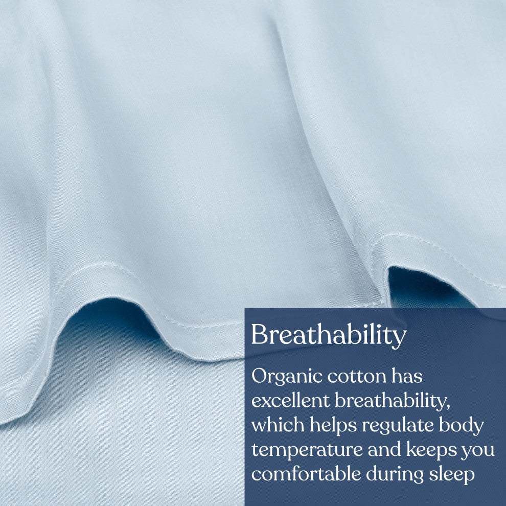 Delara GOTS Certified 100% Organic Cotton Flat Sheet 400TC, Light Blue, Queen, 96"x105"