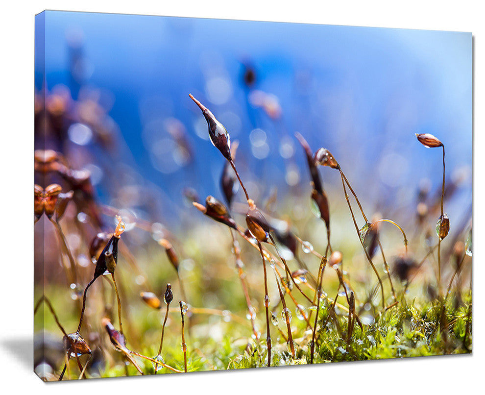 "Abstract Summer Spring Moss Flowers" Landscape Wall Art, 20"x12"
