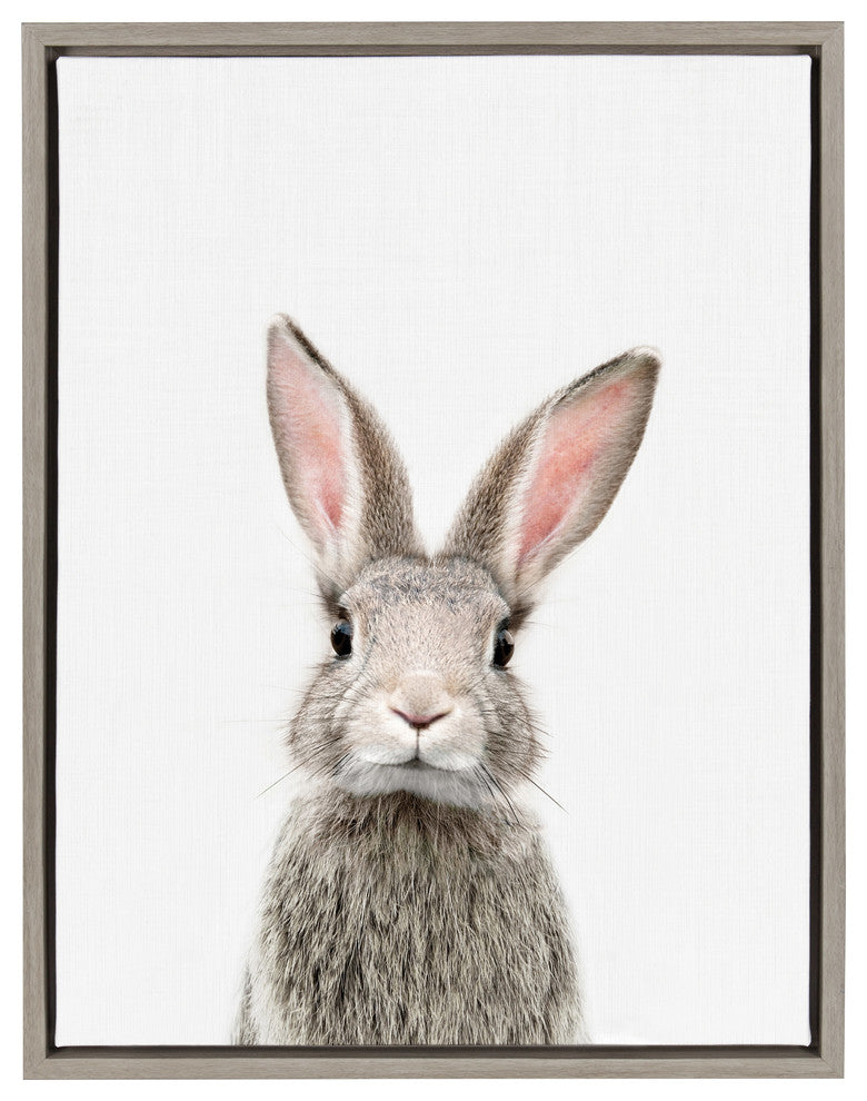Sylvie F Baby Bunny Rabbit Animal Print Framed Canvas by Amy Peterson, 18x24