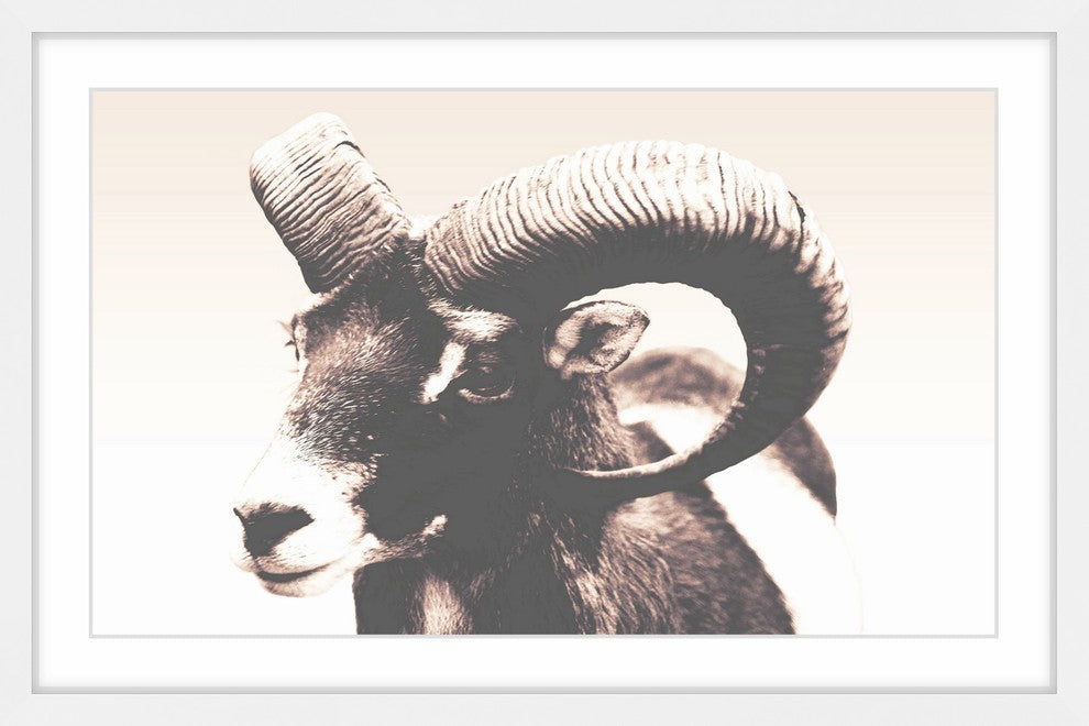 Marmont Hill, "Eye of Ram" Framed Painting Print, 24x16