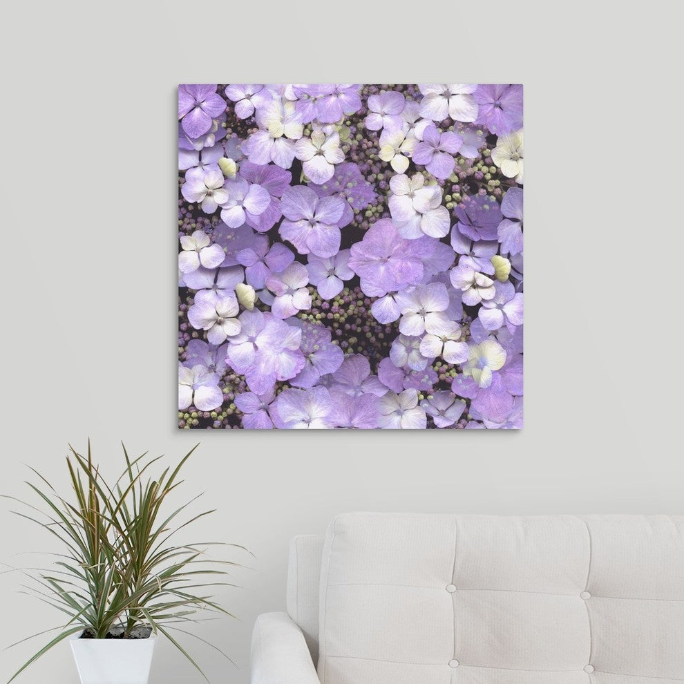 "Hydrangea Glory" Wrapped Canvas Art Print, 24"x24"x1.5"