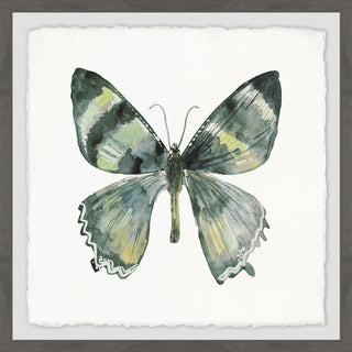 "Green Wings" Framed Painting Print, 18"x18"