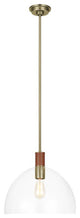 Generation Lighting, LP1061TWBCG, Large Pendant, Time Worn Brass