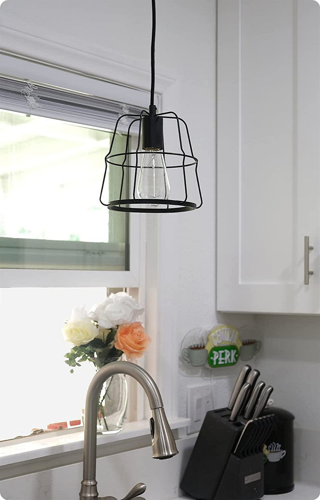 Industrial Farmhouse Mini Cage Pendant Light Black Hanging Lamp