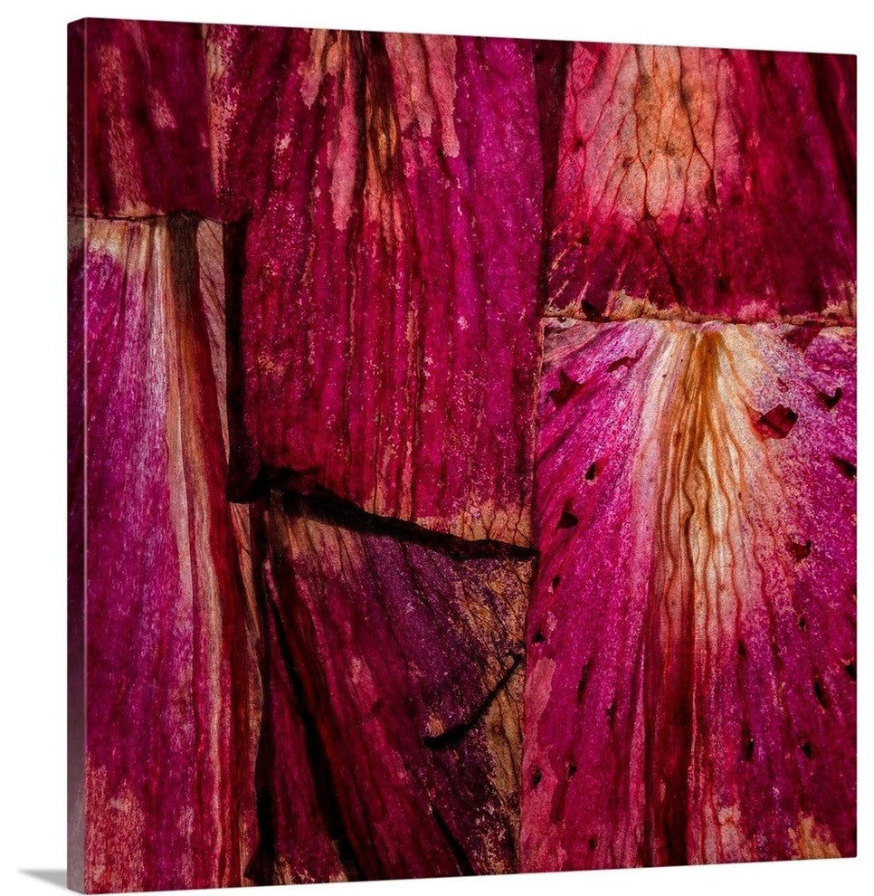"Looking Through the Rubicon" Wrapped Canvas Art Print, 24"x24"x1.5"