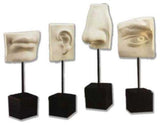 David Face Set On Pole, Michelangelo Classical Sculpture
