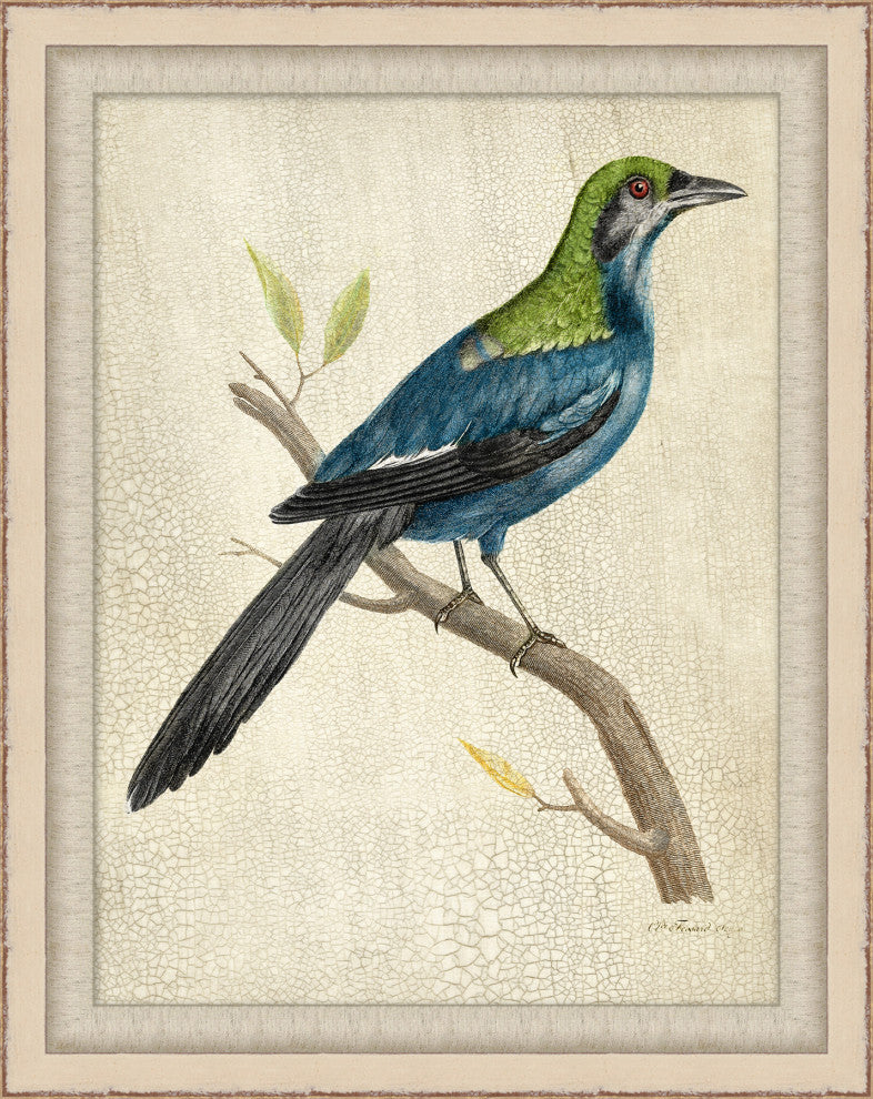 Blue Birds 1, Giclee Reproduction Artwork
