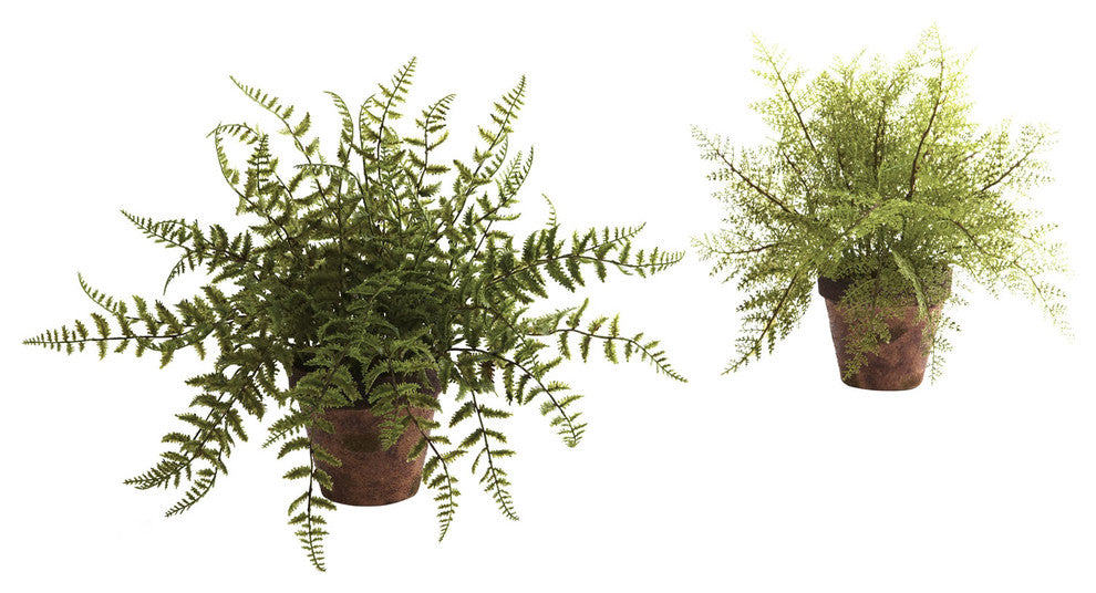 Fern With Decorative Planter, Set of 2