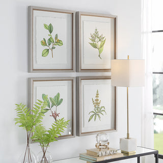 Wildflower Study Framed Prints, S/4"