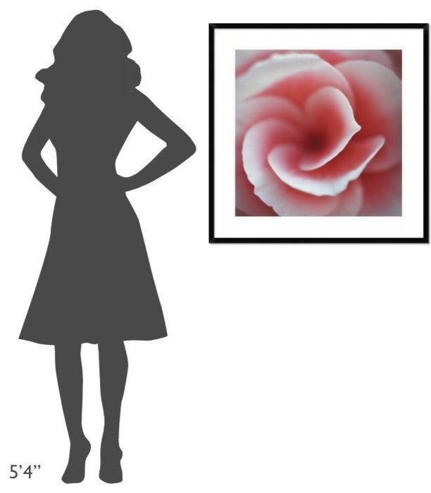 "Begonia" Framed Digital Print by Lotte Gronkjaer, 32"x32"