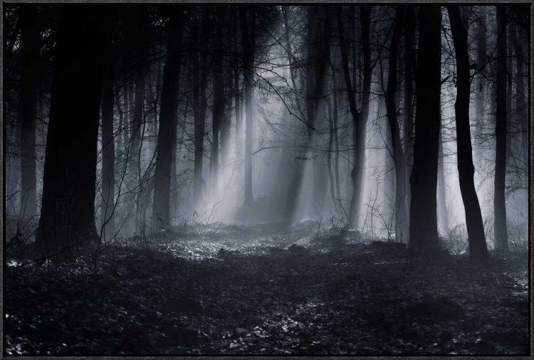 "Capela Forest" Framed Canvas Giclee by Julien Oncete, 37x25"