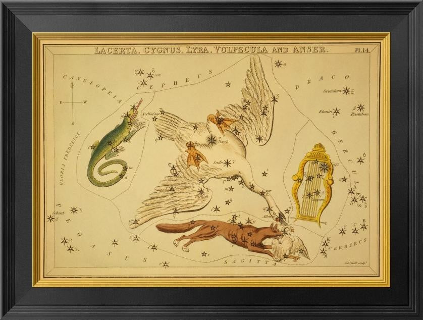 "Lacerta, Cygnus, Lyra, Vulpecula and Anser, 1825"  by Jehoshaphat Aspin, 22x16"