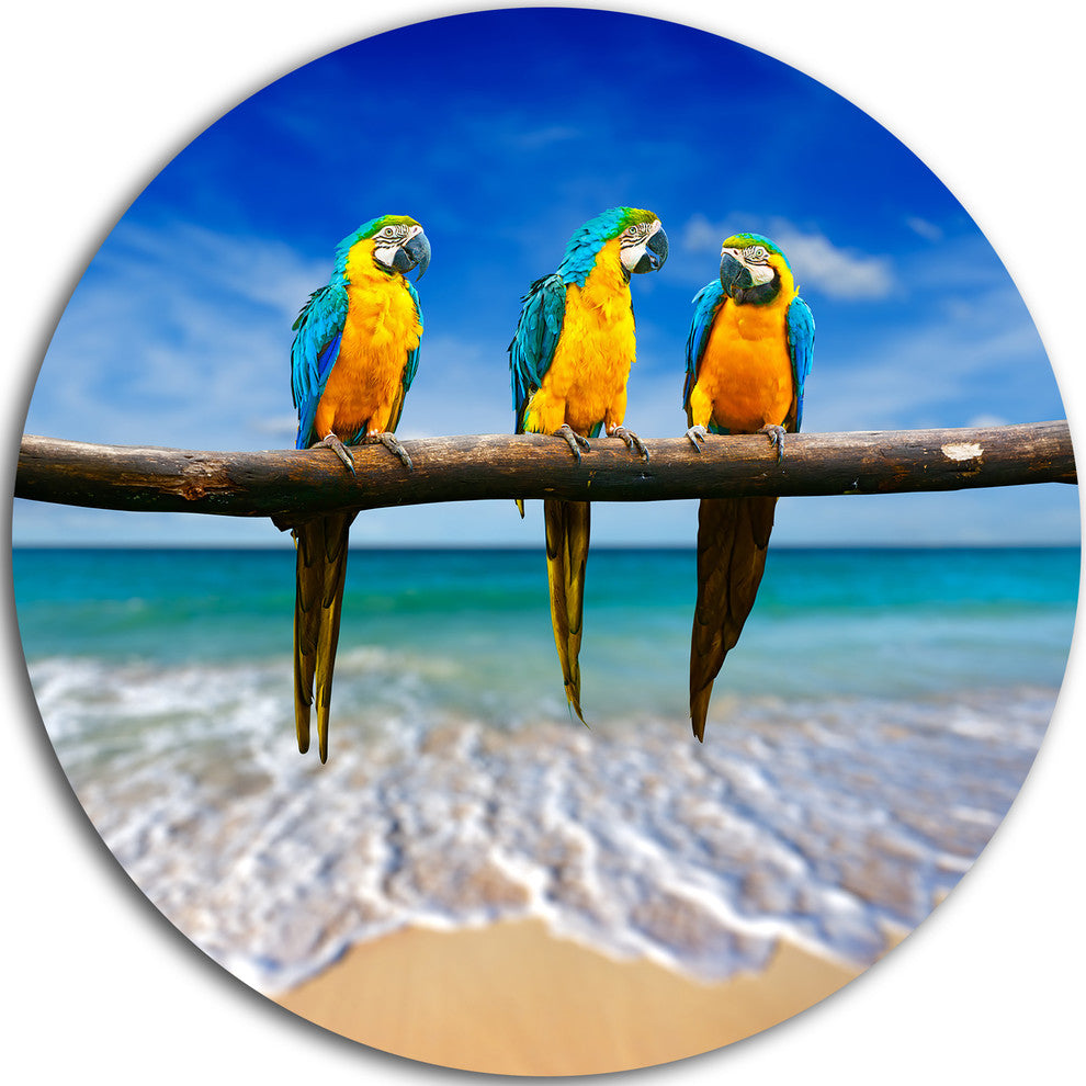 Blue Gold Macaws At Beach, Seashore Photo Disc Metal Artwork, 23"