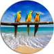 Blue Gold Macaws At Beach, Seashore Photo Disc Metal Artwork, 23"