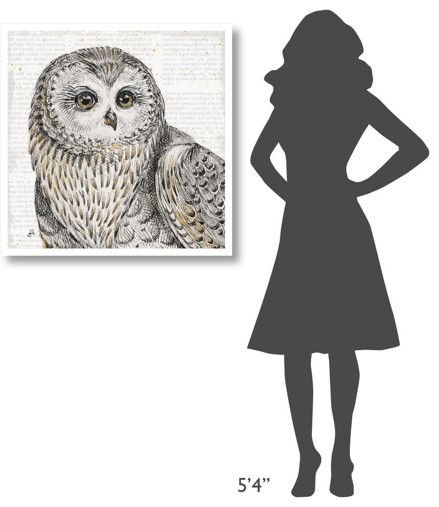 "Beautiful Owls II" Digital Paper Print by Daphne Brissonnet, 32"x32"