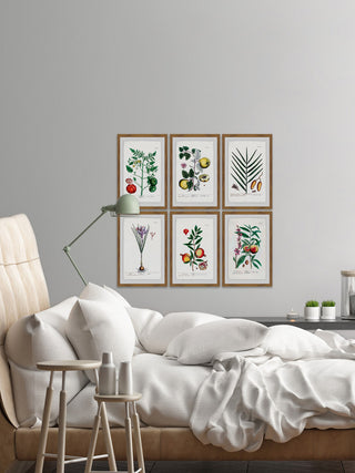 "Plantas Jali Hexaptych" Framed Prints, 24"x36", 6-Piece Set