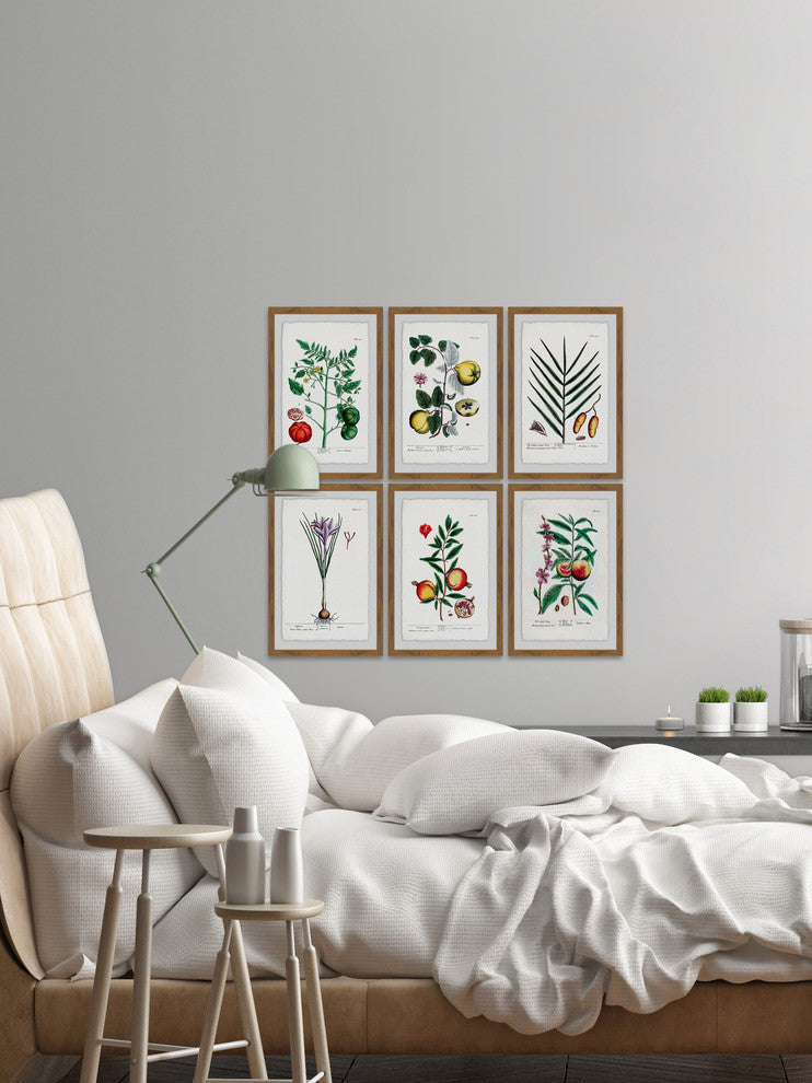 "Plantas Jali Hexaptych" Framed Prints, 24"x36", 6-Piece Set
