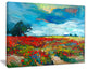 "Colorful Flower Fields" Canvas Print