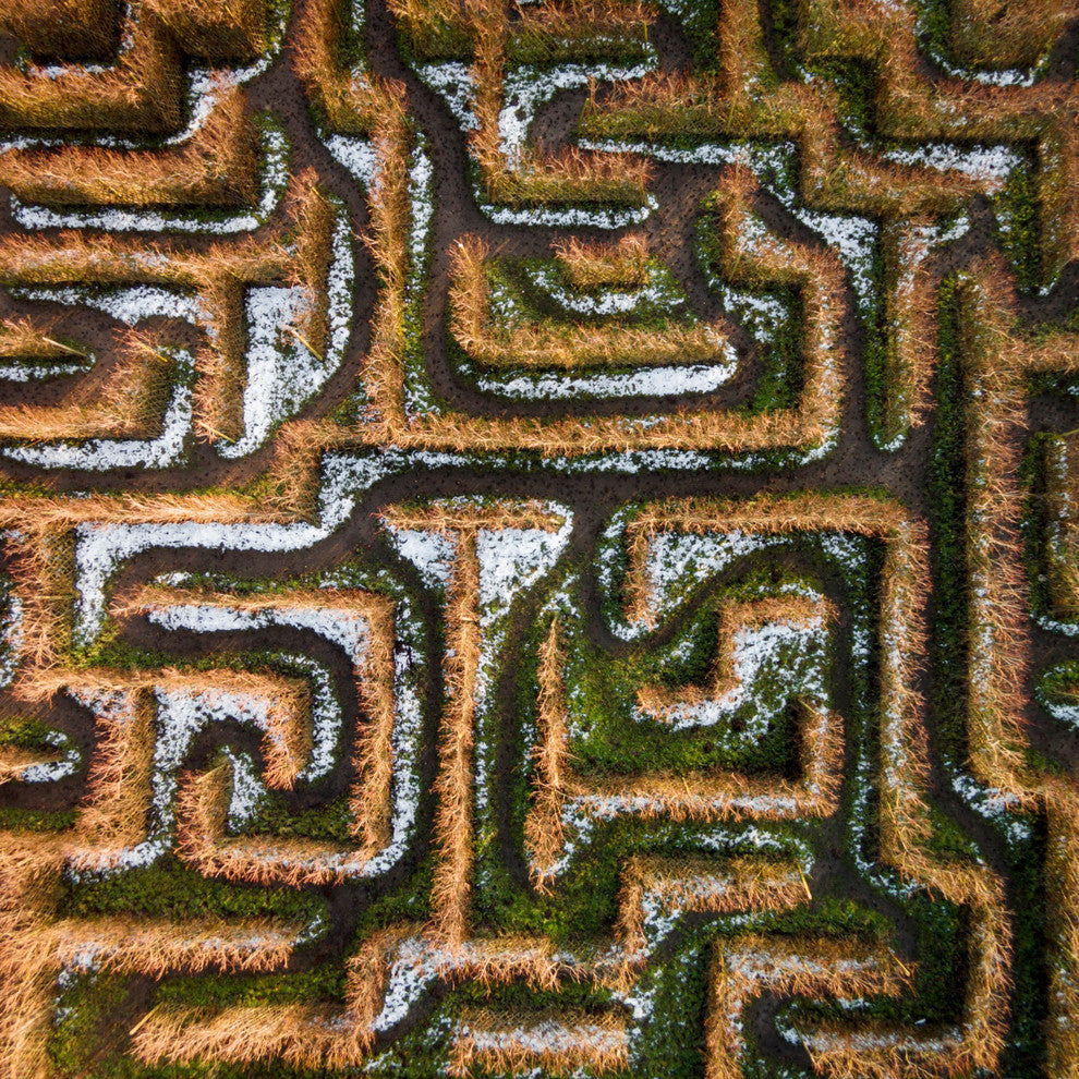 "Earth Maze" Print on Canvas by Karolis Janulis