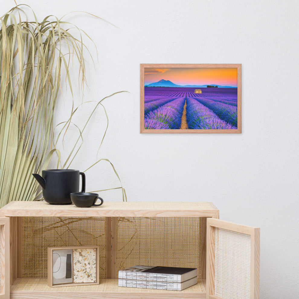 Blooming Lavender Field and Sunset Floral Landscape Framed Photo Wall Art Prints, Red Oak, 12" X 18"