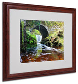 'Lush River' Matted Framed Canvas Art by Pierre Leclerc