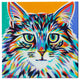 Dramatic Cats I' by Carolee Vitaletti Giclee Canvas Wall Art, 37"x37"