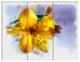 Yellow Lily Hand drawn Flower, Floral Triptych Canvas Art Print, 36x28, 3 Panels