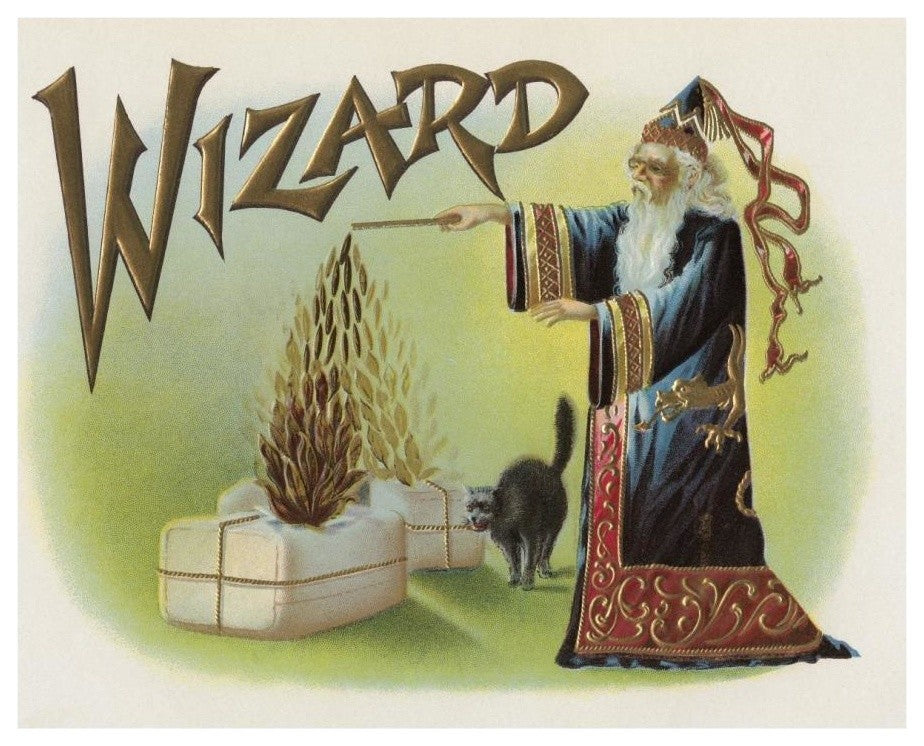 "Wizard" Digital Paper Print by Halloween, 18"x15"