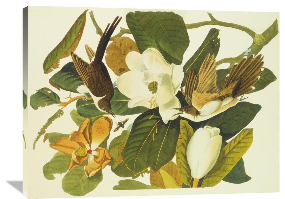 "Black-Billed Cuckoo" Artwork, 40" x 30"