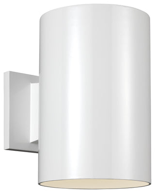 Large 1-Light Outdoor Wall Lantern, White