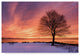 "Come Alive" by Michael Blanchette Photography, Canvas Art, 22"x32"